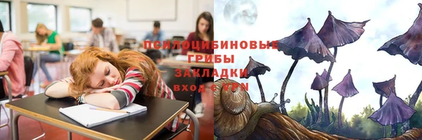 ГАЛЛЮЦИНОГЕННЫЕ ГРИБЫ Балабаново