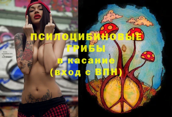 ГАЛЛЮЦИНОГЕННЫЕ ГРИБЫ Балабаново