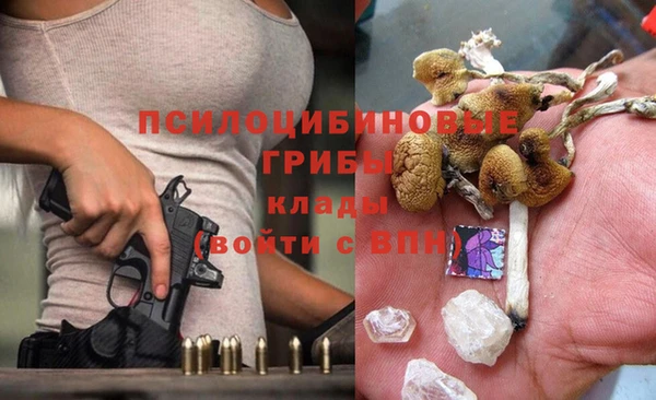 ГАЛЛЮЦИНОГЕННЫЕ ГРИБЫ Балабаново