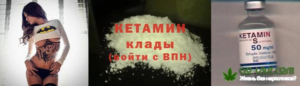прущие грибы Заводоуковск