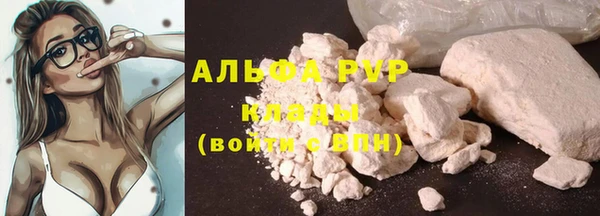 ГАЛЛЮЦИНОГЕННЫЕ ГРИБЫ Балабаново